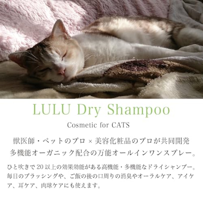 LALAドライシャンプー 3