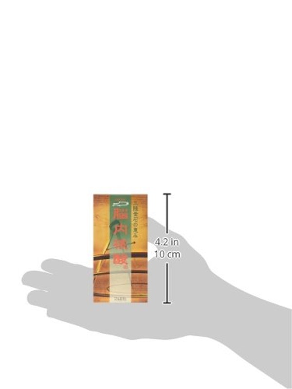 脳内核酸 4