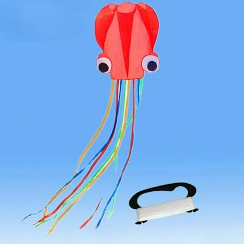 ソフトカイト 1