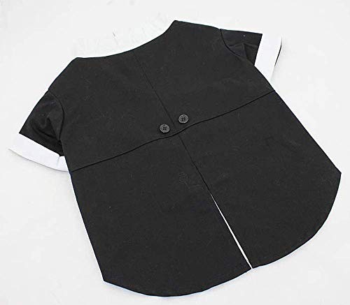 大型犬のタキシード服 2