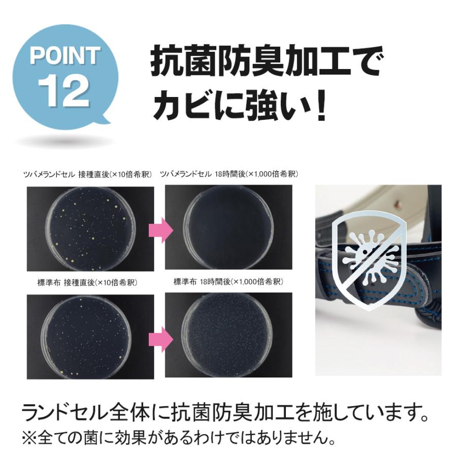 スタンダード 15