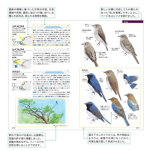 フィールド図鑑 日本の野鳥 第3版 3