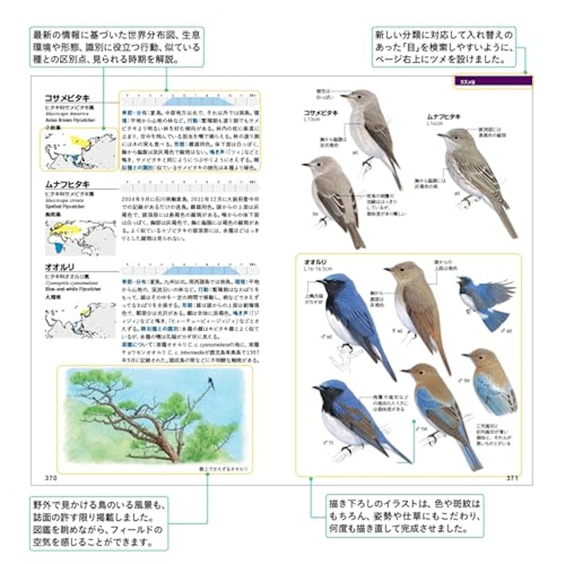 フィールド図鑑 日本の野鳥 第3版 3