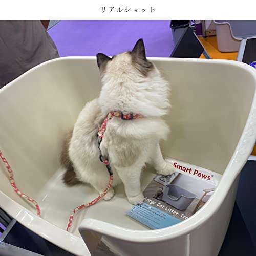 大きな猫のトイレ 4