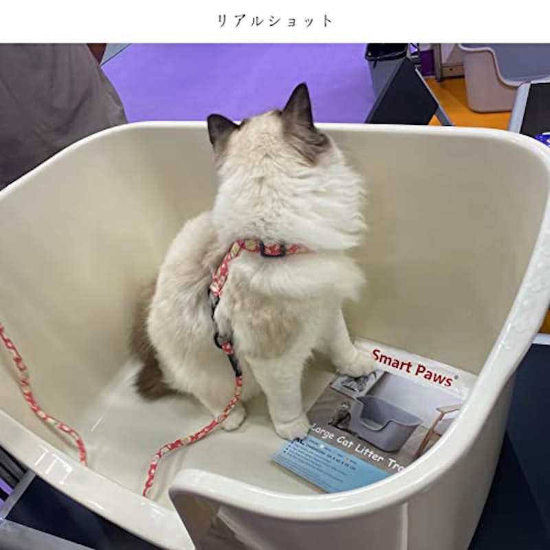 大きな猫のトイレ 4