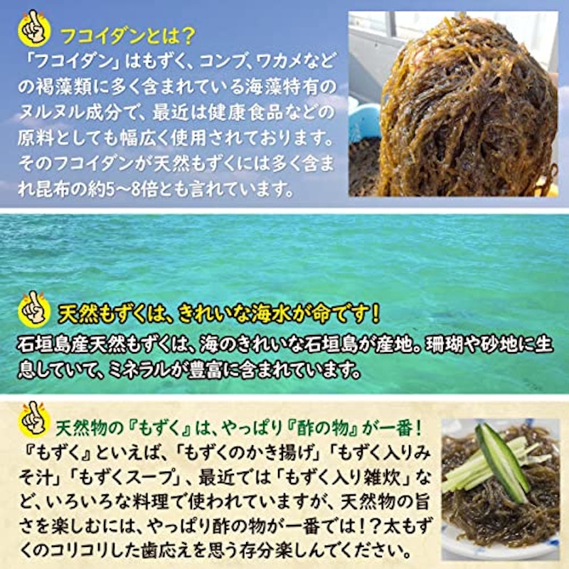 石垣島産天然太もずく 塩蔵 3