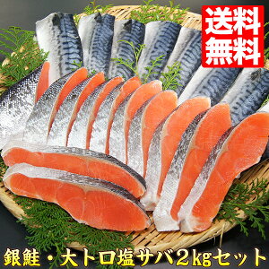 甘塩銀鮭切り身　大トロ鯖半身 セット 1