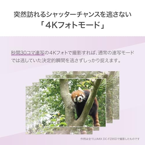 デジタルカメラ  7