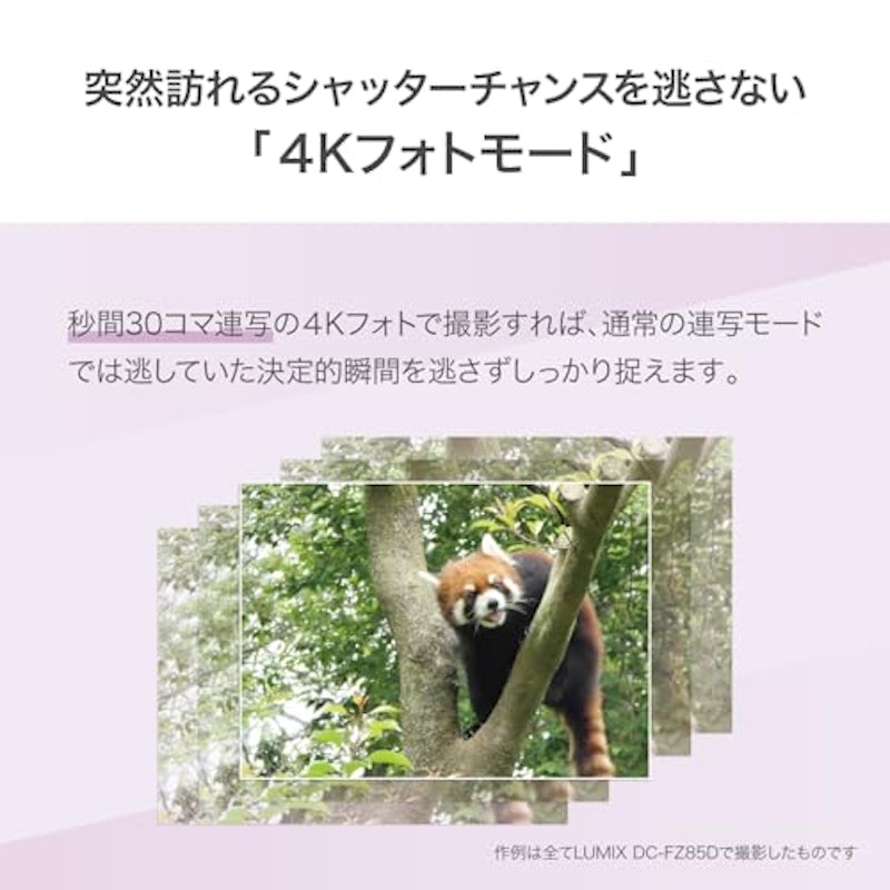 デジタルカメラ 7