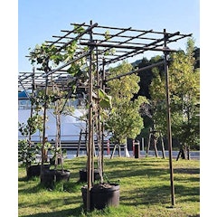 21年 パーゴラのおすすめ人気ランキング10選 Mybest 21年 パーゴラのおすすめ人気ランキング10選 Mybest