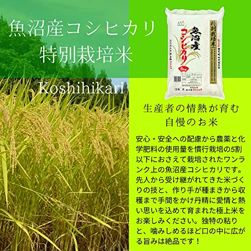魚沼産コシヒカリ 5