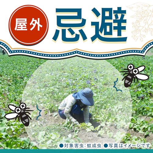 アース長持香 4