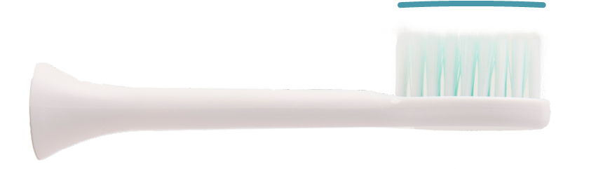 Dentaly 4