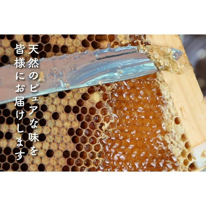 さいき養蜂園 天然ピュア蜂蜜 アカシア 5