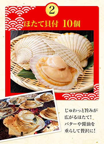 赤エビ イカ一夜干し 殻付き帆立 3