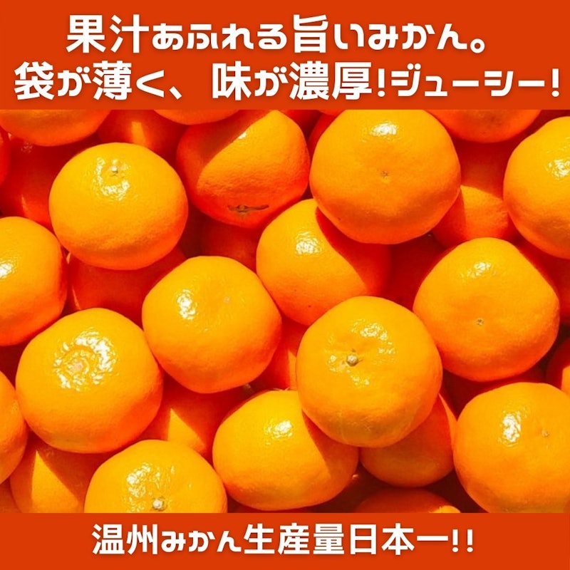 早生温州みかん 秀品 2
