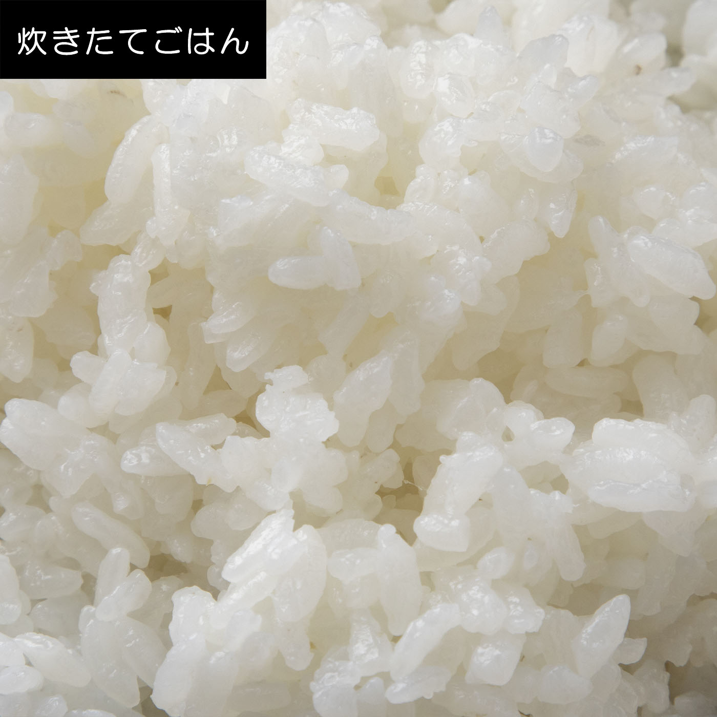真空圧力IHジャー炊飯器 9