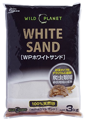 ニッソー WILD PLANET ホワイトサンド 1