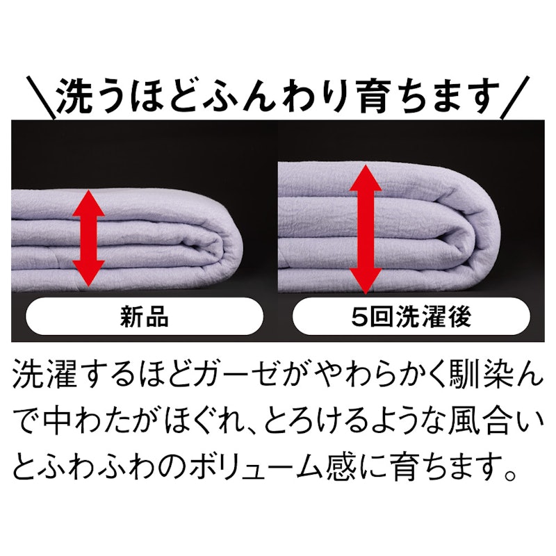 掛け布団 ドライループ 10