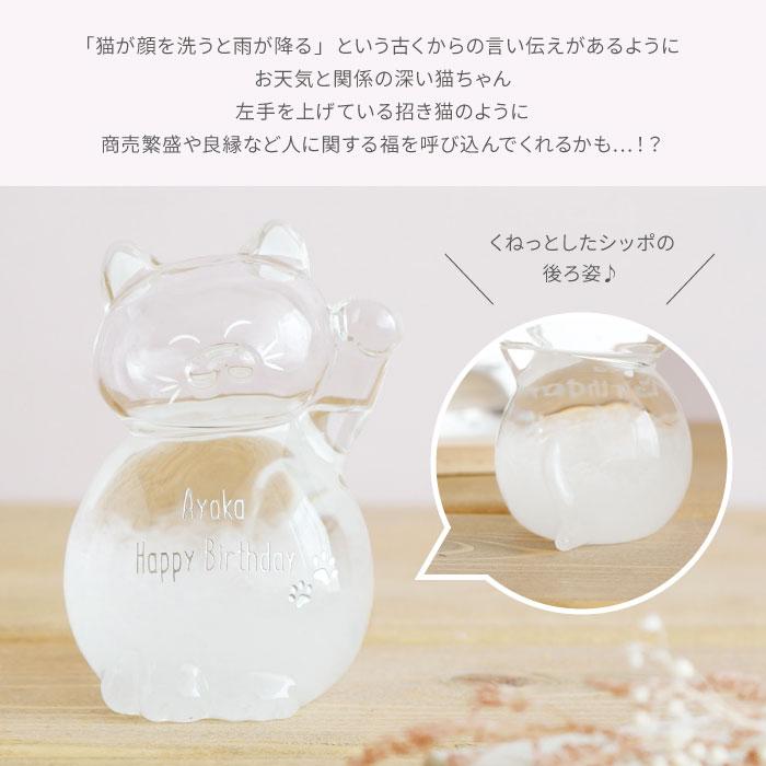 猫のストームグラス 4
