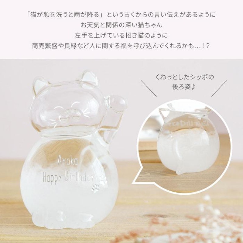 猫のストームグラス 4