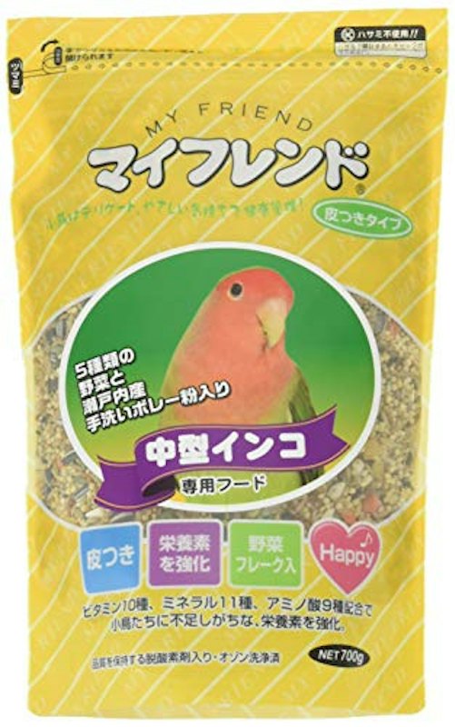 皮つき 中型インコ 1