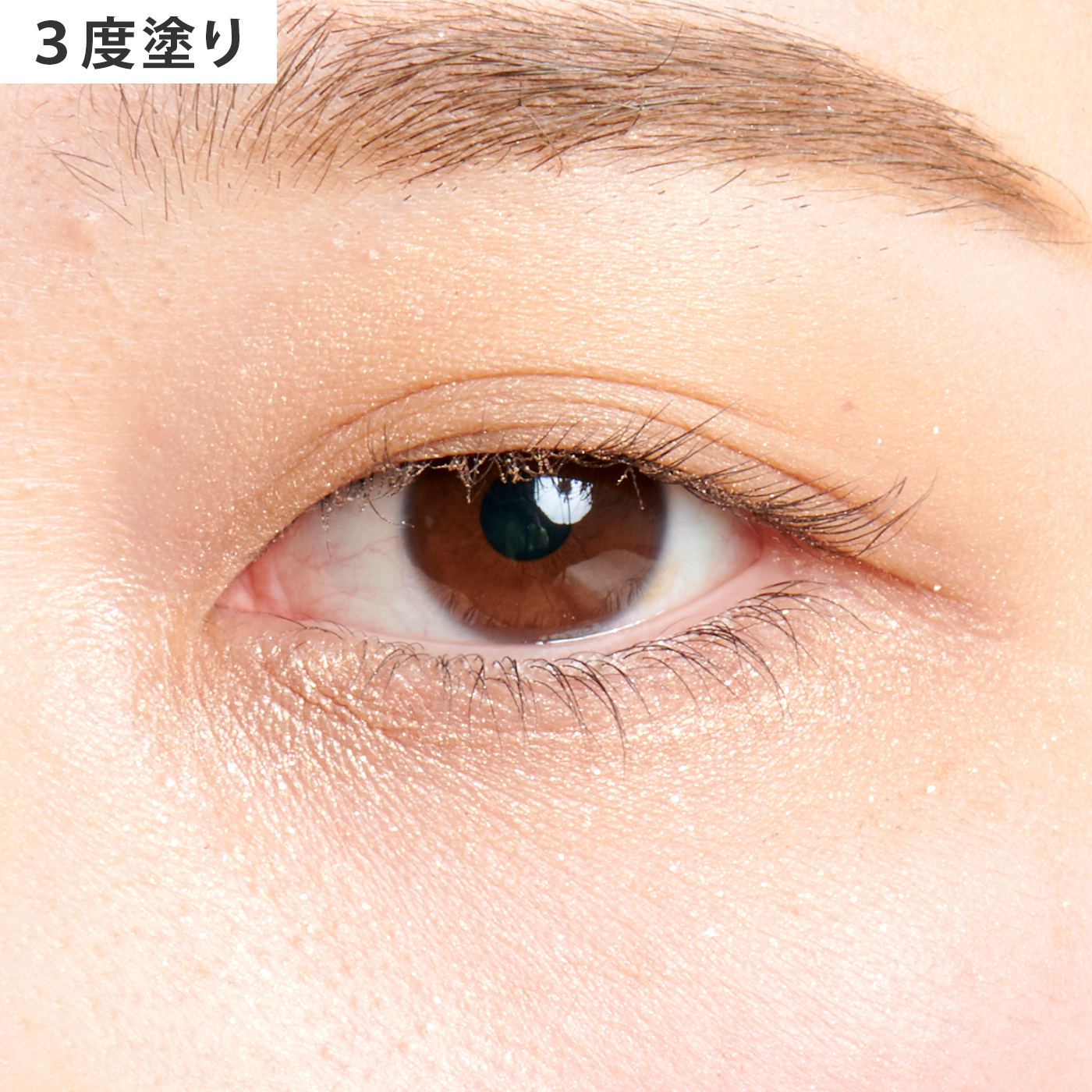 ルナソル スキン モデリング アイズ 01 Beige Beigeをレビュー