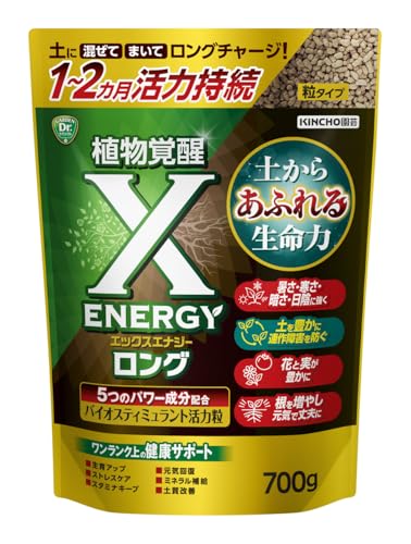 ロング 粒タイプ 1
