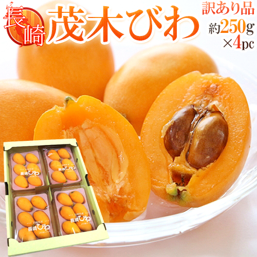 茂木びわ 訳あり 1