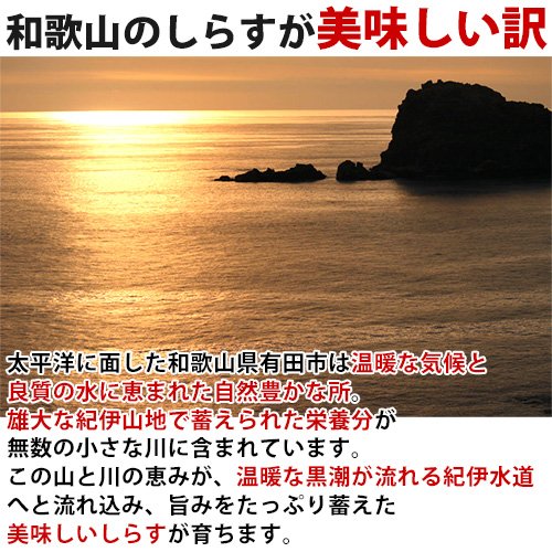 釜揚げしらす 6