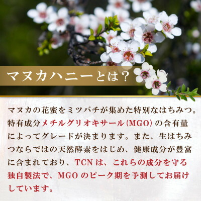 インカナム マヌカハニー 2
