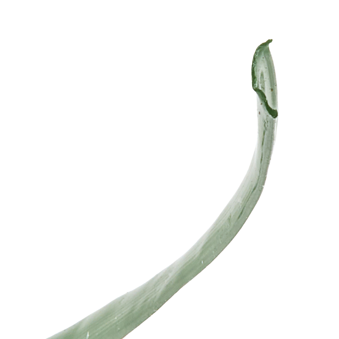 人工芝 7