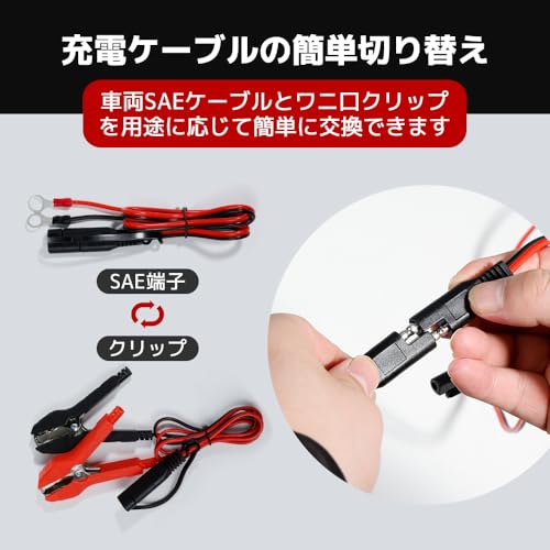 パルス充電器 6