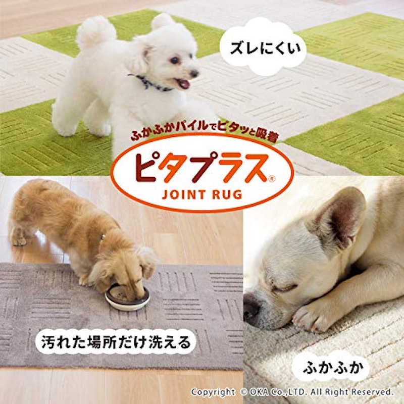 PET 3