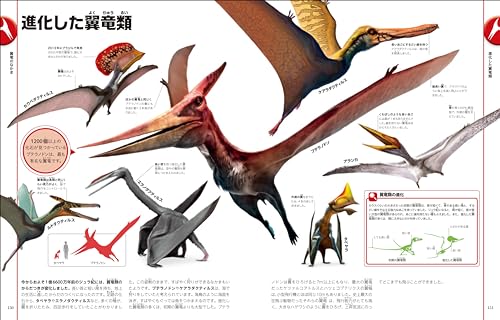 改訂版　恐竜と古代の生き物図鑑 7