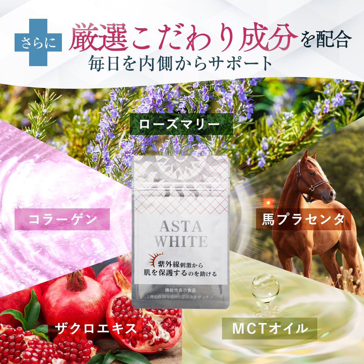 ASTA WHITE 4