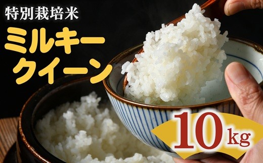 ミルキークイーン 特別栽培米 10㎏ 1