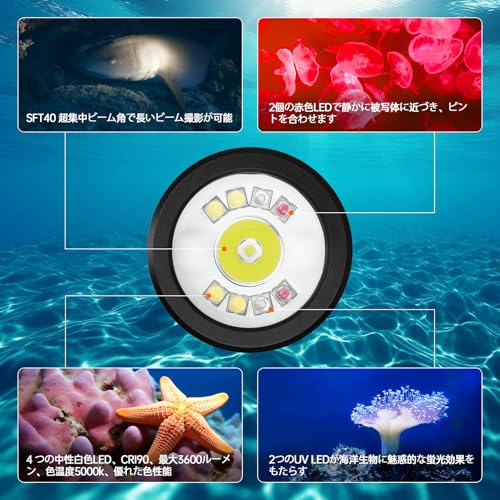 Wurkkos ダイビングライト 2