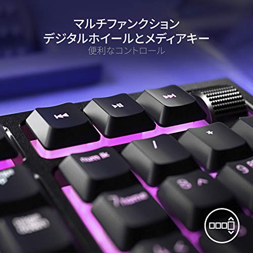 Ornata V2 4