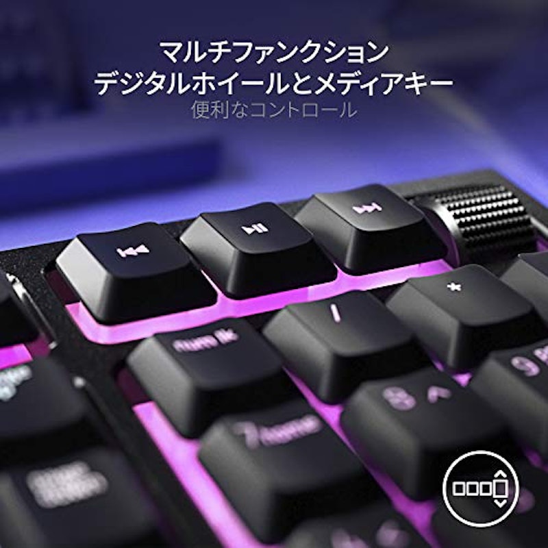 Ornata V2 4