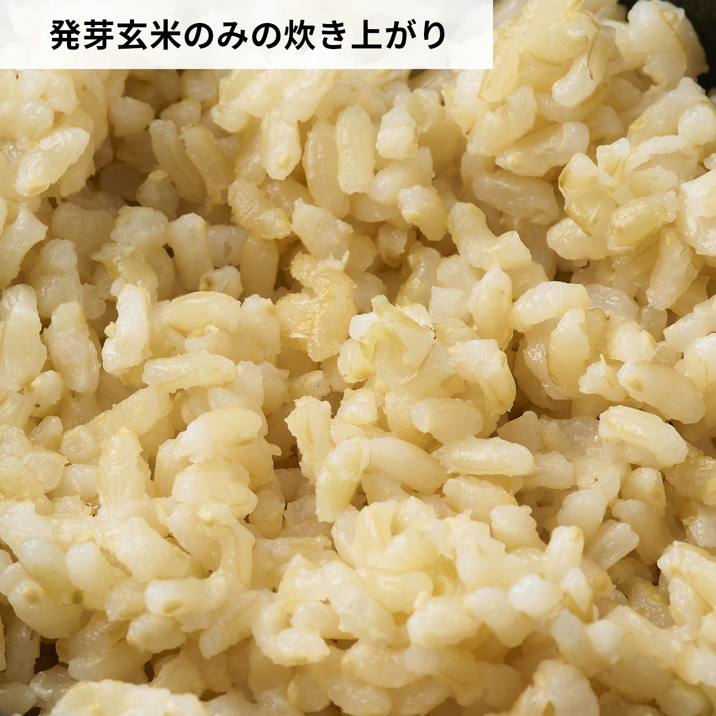 発芽米 6
