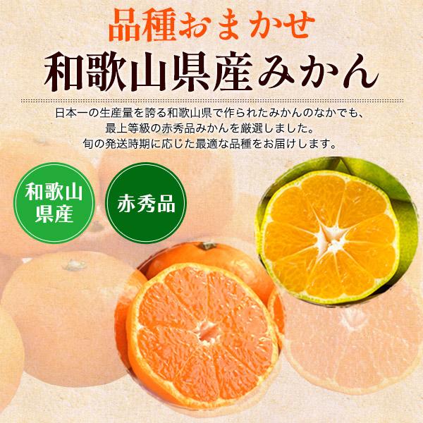 和歌山県産みかん 2