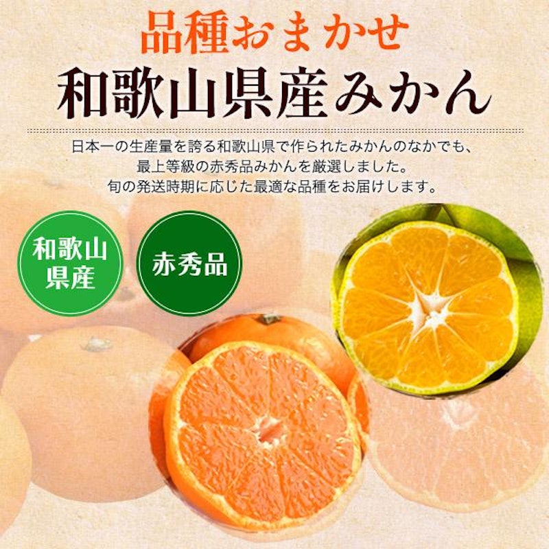 和歌山県産みかん 2