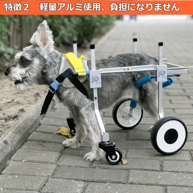 ワンちゃん歩行器 リハビリ用 犬歩行器 小型犬用 オーダーメイド 犬車椅子 21 Koushiki 犬用品 Cpmalaysia Com ワンちゃん歩行器 リハビリ用 犬歩行器 小型犬用 オーダーメイド 犬車椅子 21 Koushiki 犬用品 Cpmalaysia Com