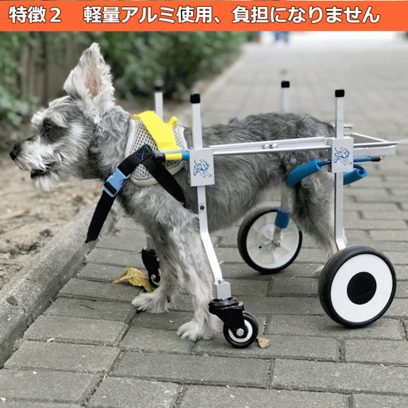 犬の車椅子 Mサイズ ブルー 犬用車椅子 介護 車いす コーギー フレブル
