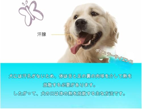 小型犬用口輪 3