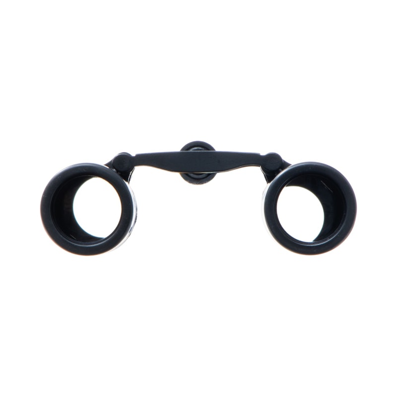 V-TEX 12×25DH 双眼鏡 3