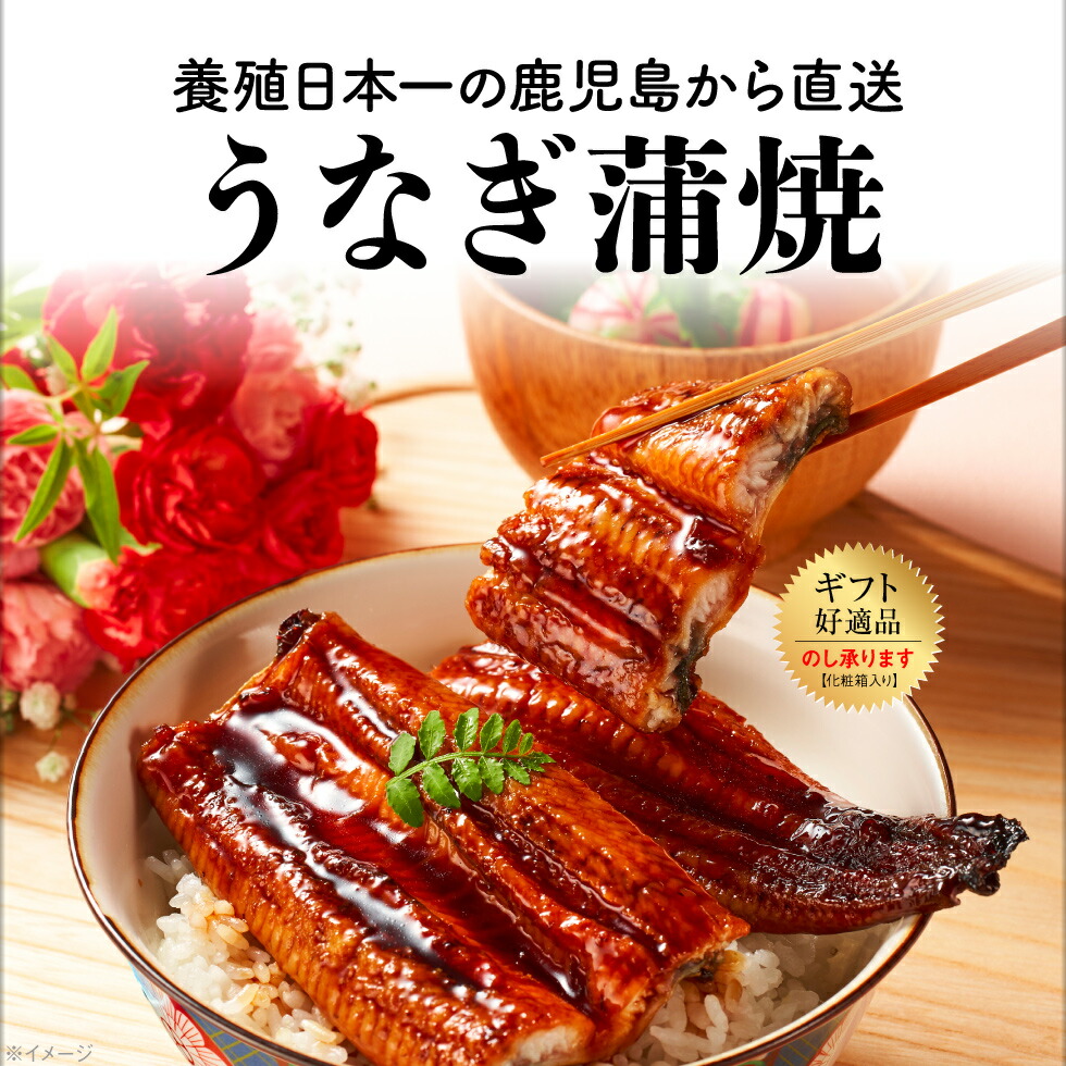 うなぎ蒲焼 2