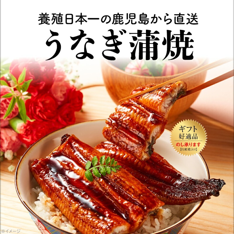 うなぎ蒲焼 2