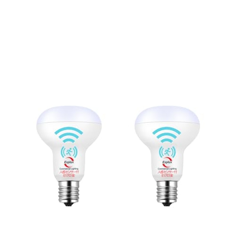 LEDレフ電球 1